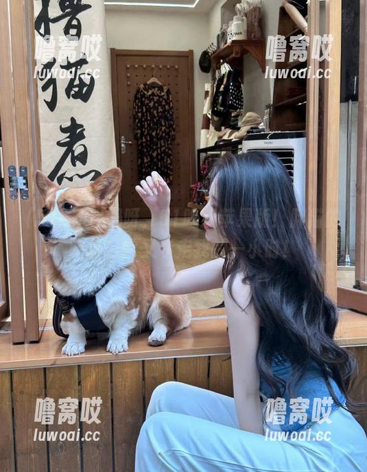 妈呀，51吃瓜苹果版！胖猫的吃货日常又夺走我的一小时！