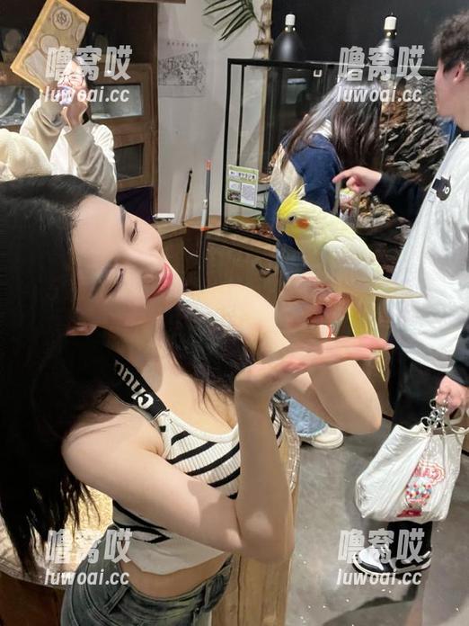 视频播出！51吃瓜今天的剧情把你带到瓜田里，太爽了！