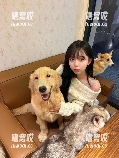 网页里的51热门大瓜，黑料简直像调料，打得我味觉疯狂！