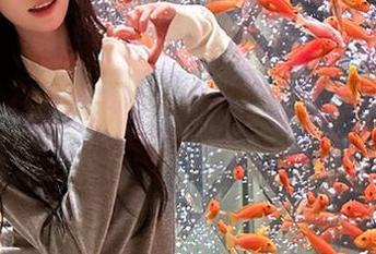 决定了！91黑料在线，带给你永久属性的八卦