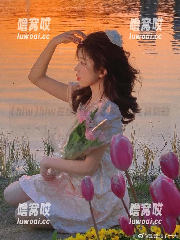 hlw在线，汇聚了多少鸡飞狗跳的故事！