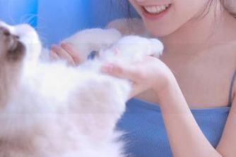 某日我带着小狗在“zztt01”里闲逛，永不迷路还是找不到出口？