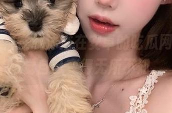 在线沐浴在安卓的吃瓜网之下，感觉自己变得无所不知。