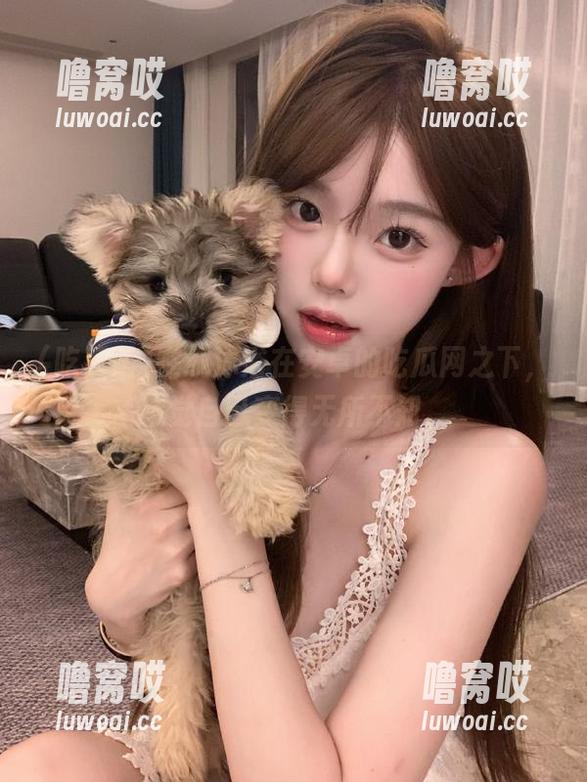 在线沐浴在安卓的吃瓜网之下，感觉自己变得无所不知。