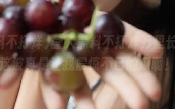 登入黑料不打烊万里长征，这波真是让我震惊不已的瓜啊！