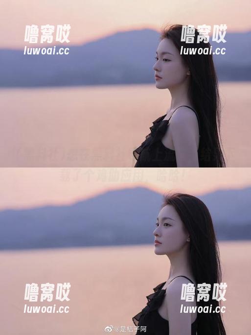 想在黑料社导航上流连，结果下载了个鸡肋应用，哈哈！