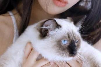 黑料网的导航，红杏爆料成了永不停歇的节目