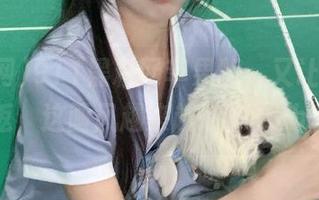 911黑料网苹果版，又让人流连忘返，这画风越来越refresh啊！