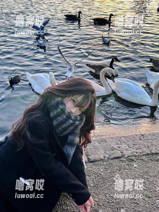 黑社料下载路径错了吗？不经过这地址恐怕没戏！