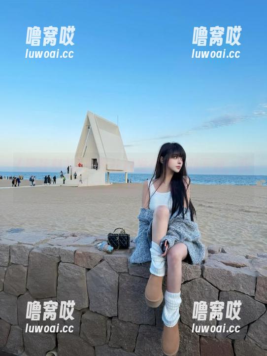 咦？黑社料发布了个新下载，我的好奇心被勾起来了